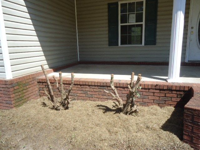 11775 S State Hwy 605, Slocomb, AL 36375