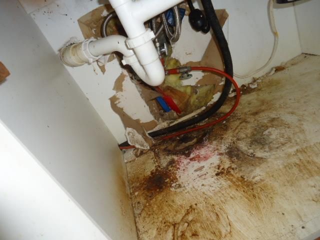 11775 S State Hwy 605, Slocomb, AL 36375