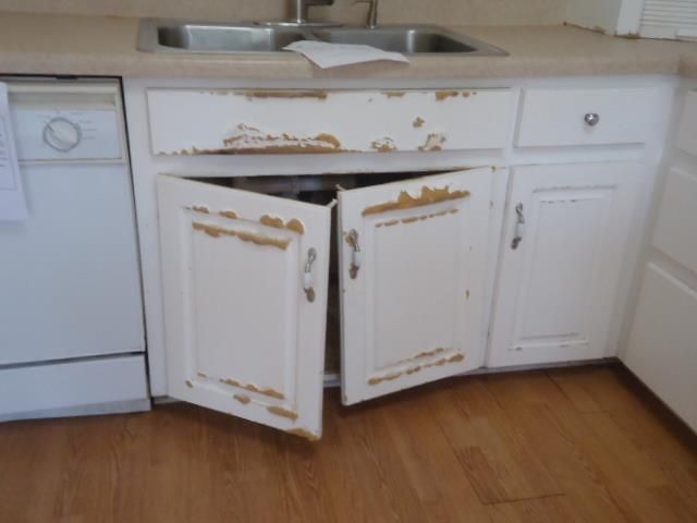 11775 S State Hwy 605, Slocomb, AL 36375