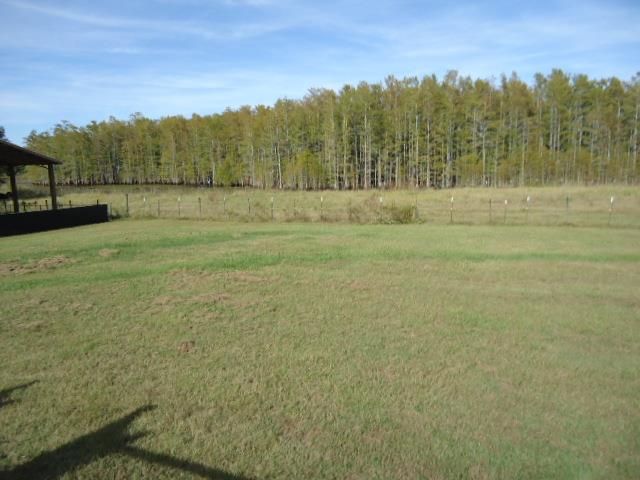 11775 S State Hwy 605, Slocomb, AL 36375