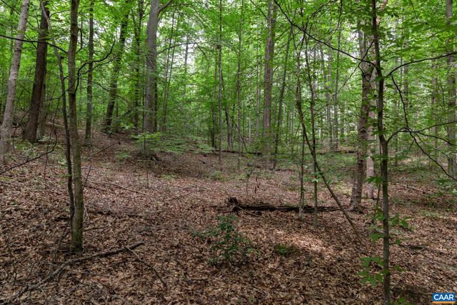 242 PALMER PL, Ruckersville, VA 22968