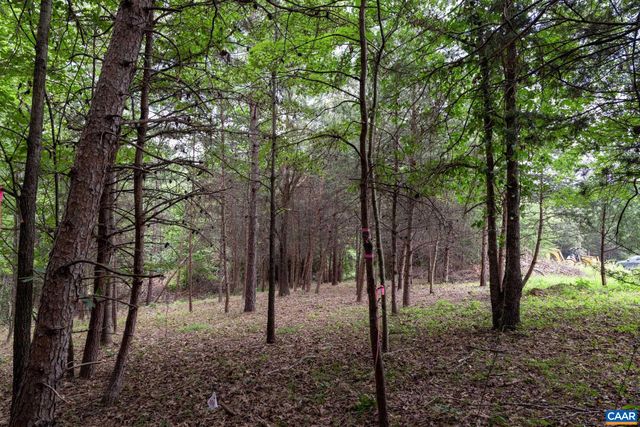 242 PALMER PL, Ruckersville, VA 22968