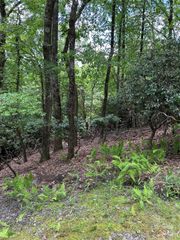 TBD Connestee Trail UO2/L406, Brevard, NC 28712