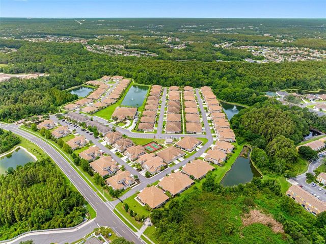 29817 GANGA WAY, Wesley Chapel, FL 33543