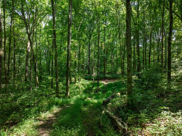 0 Barren Fork Bridge Rd, Bon Aqua, TN 37025
