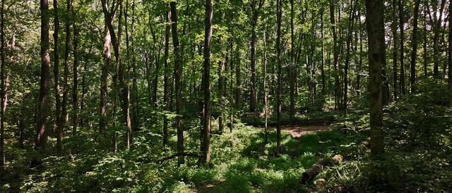 0 Barren Fork Bridge Rd, Bon Aqua, TN 37025