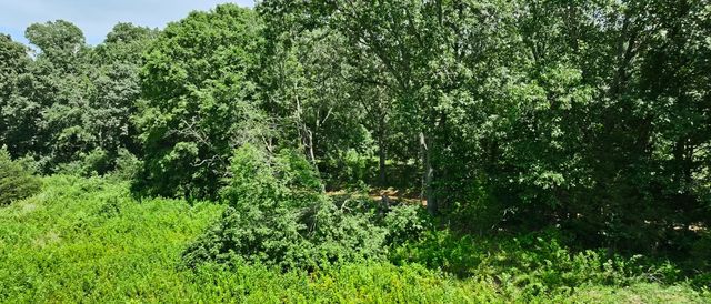 0 Barren Fork Bridge Rd, Bon Aqua, TN 37025