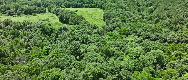 0 Barren Fork Bridge Rd, Bon Aqua, TN 37025