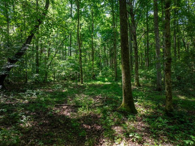 0 Barren Fork Bridge Rd, Bon Aqua, TN 37025