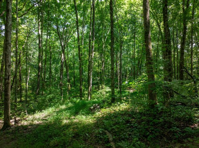 0 Barren Fork Bridge Rd, Bon Aqua, TN 37025