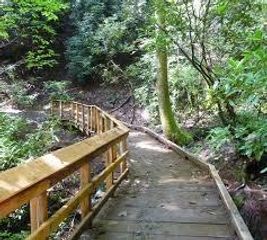 11400 W Parmer LN 88, Cedar Park, TX 78613