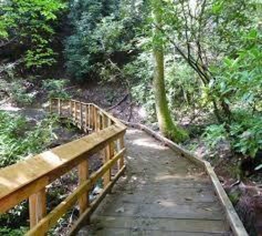 11400 W Parmer LN 88, Cedar Park, TX 78613