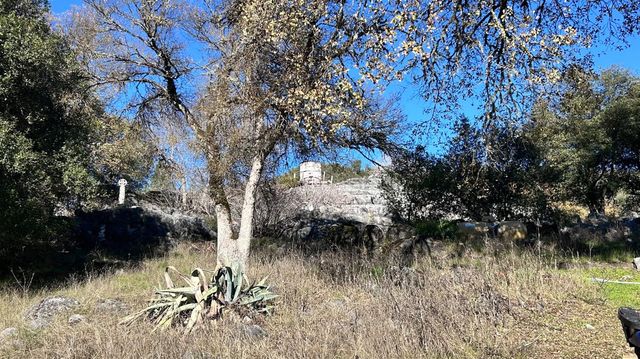 11145 S Rodesino Rd, Mountain Ranch, CA 95246