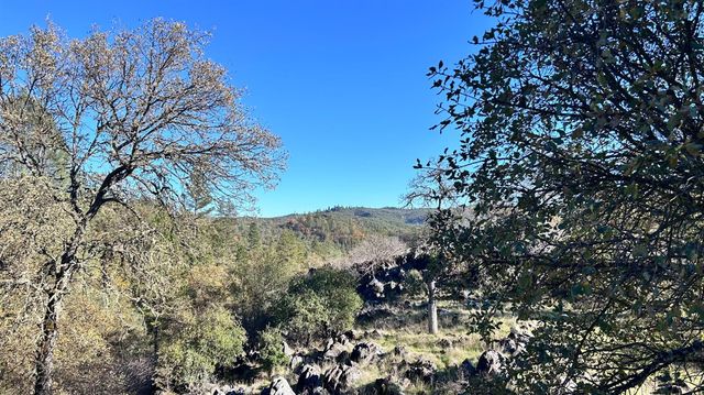 11145 S Rodesino Rd, Mountain Ranch, CA 95246