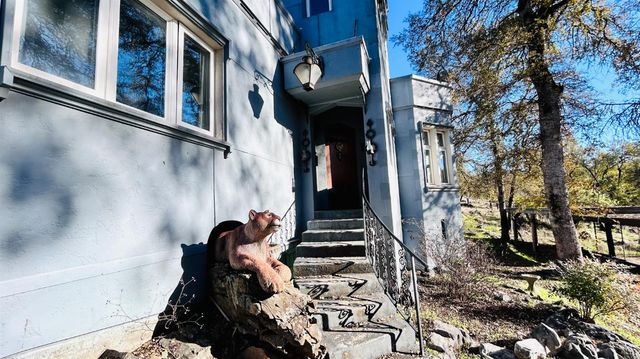 11145 S Rodesino Rd, Mountain Ranch, CA 95246