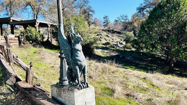 11145 S Rodesino Rd, Mountain Ranch, CA 95246