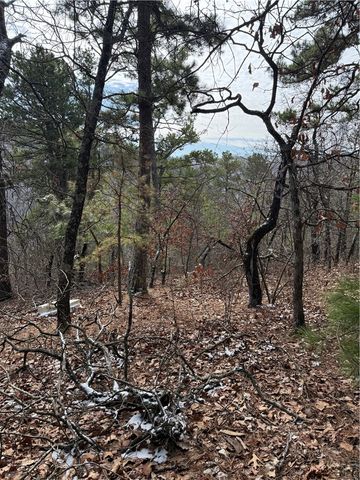 1327 County Road 323, Eureka Springs, AR 72632