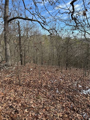 1327 County Road 323, Eureka Springs, AR 72632