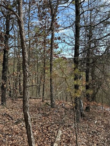 1327 County Road 323, Eureka Springs, AR 72632