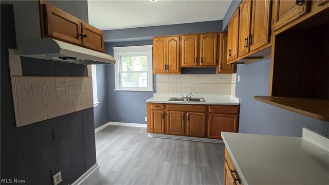 13301 Caine Avenue, Cleveland, OH 44105