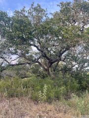 TBD County Road 265, Mico, TX 78056