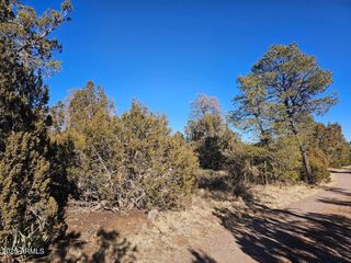 TBD Buckskin Road A, Overgaard, AZ 85933