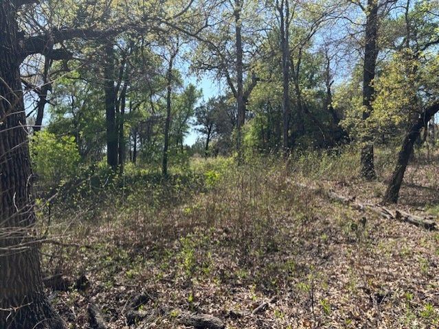 1255 Eagles Bluff Drive, Weatherford, TX 76087