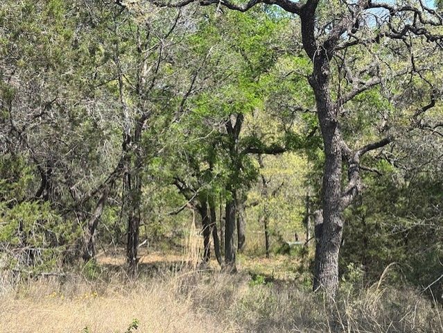 1255 Eagles Bluff Drive, Weatherford, TX 76087