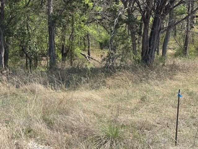 1255 Eagles Bluff Drive, Weatherford, TX 76087