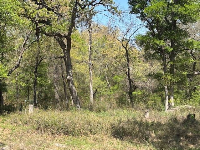 1255 Eagles Bluff Drive, Weatherford, TX 76087