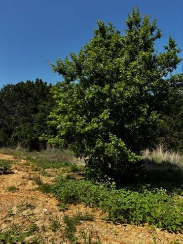 1255 Eagles Bluff Drive, Weatherford, TX 76087