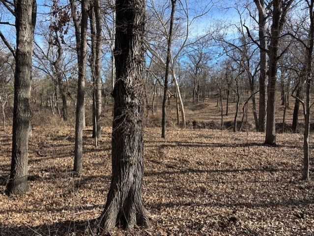 1255 Eagles Bluff Drive, Weatherford, TX 76087