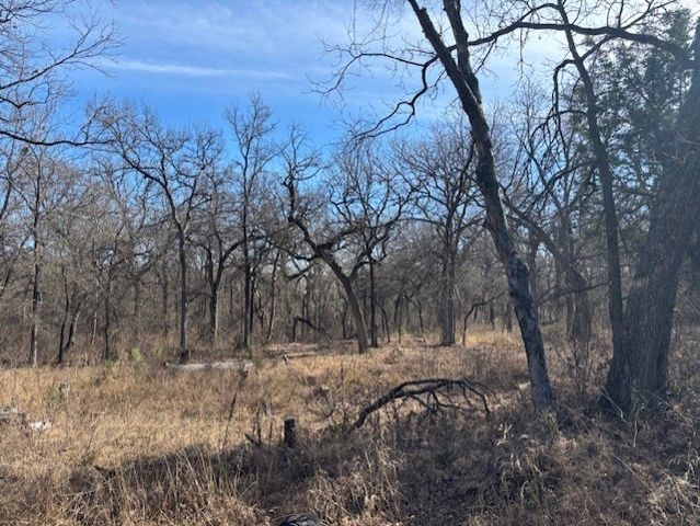1255 Eagles Bluff Drive, Weatherford, TX 76087