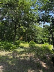 1255 Eagles Bluff Drive, Weatherford, TX 76087