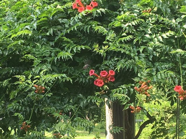 499 Plank Road, Ferrisburgh, VT 05491