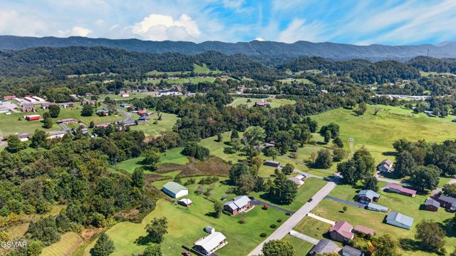 819 Redwood Drive, Mount Carmel, TN 37645
