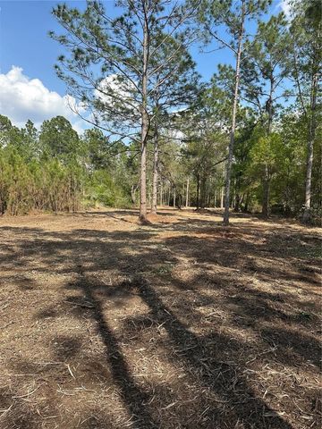 COMMONWEALTH AVENUE N, Polk City, FL 33868