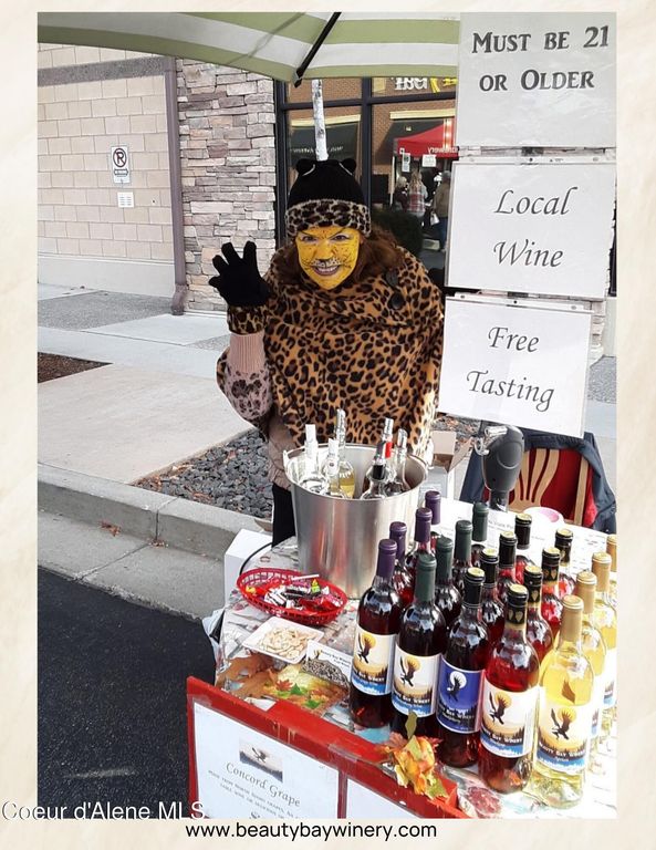 NKA S Gozzer Rd, Harrison, ID 83833 photo 7