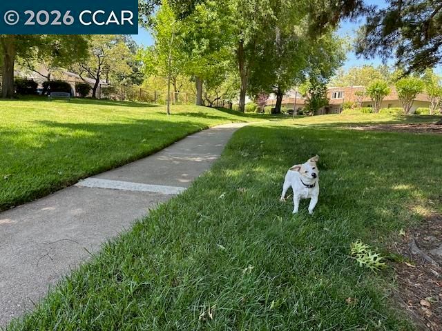 1762 1762 Holland Cir, Walnut Creek, CA 94597