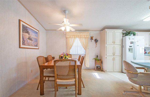 428 PELICAN DRIVE S, Oldsmar, FL 34677