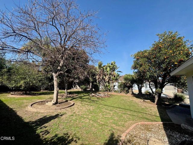 210 W Woodruff Avenue, Arcadia, CA 91007
