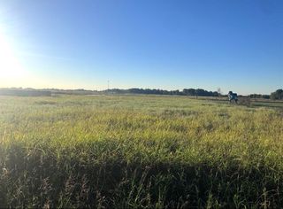 TBD Farrar Road, Palmer, TX 75152