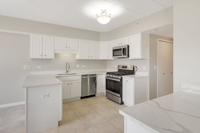 8505 Woodward Avenue 202, Woodridge, IL 60517