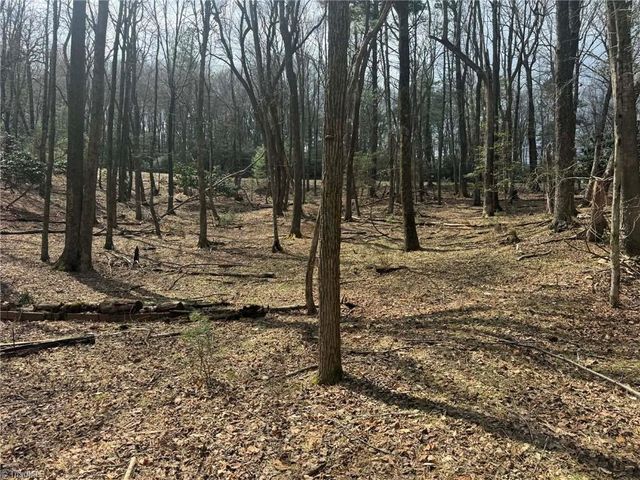 TBD Ward Circle Drive, Sparta, NC 28675