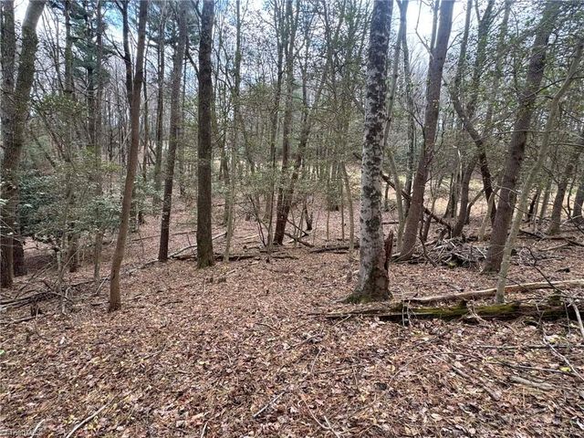 TBD Ward Circle Drive, Sparta, NC 28675