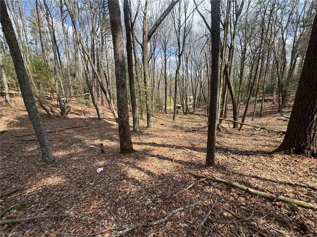TBD Ward Circle Drive, Sparta, NC 28675