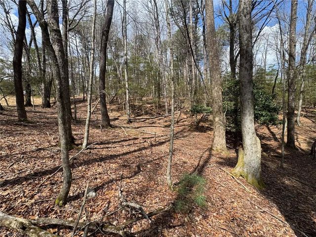 TBD Ward Circle Drive, Sparta, NC 28675