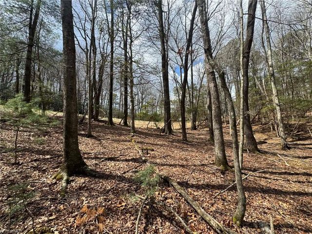 TBD Ward Circle Drive, Sparta, NC 28675