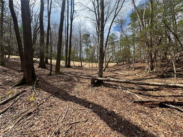 TBD Ward Circle Drive, Sparta, NC 28675