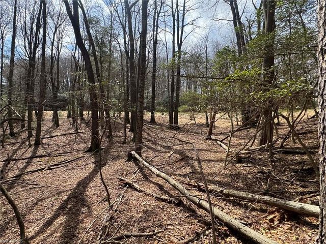 TBD Ward Circle Drive, Sparta, NC 28675